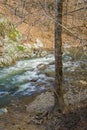 Jennings Creek â A Wild Mountain Trout Stream Royalty Free Stock Photo